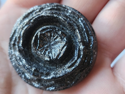 Énorme bouton ancien en résine  noir gris vintage épais 3,9 cm ref 0044