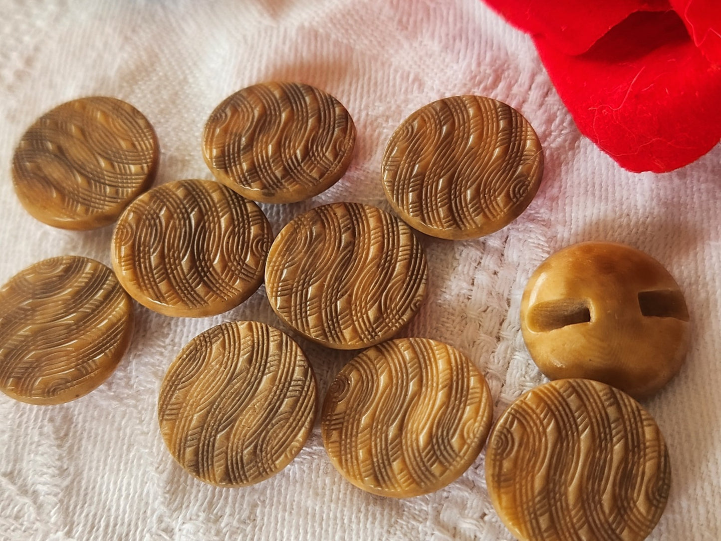 Lot 10 boutons anciens en corozo  marron 1,7 cm pied ref 3967