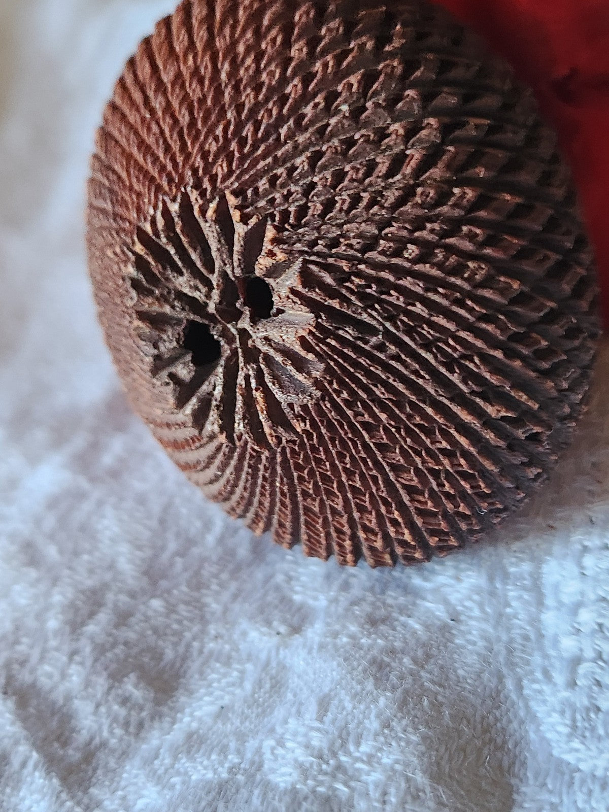 Collection XXL énorme bouton vintage volumineux marron strié 5,1 cm ref 7017