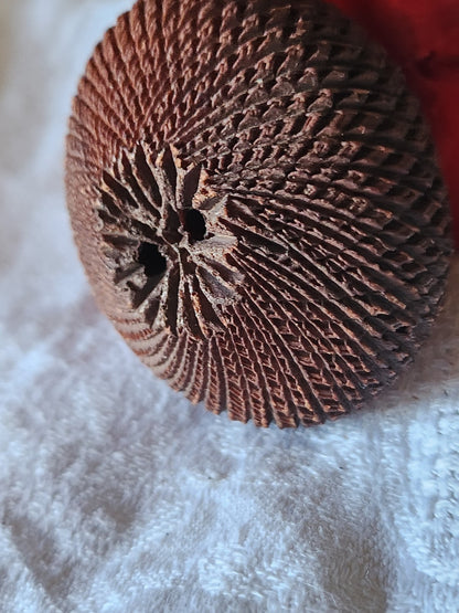 Collection XXL énorme bouton vintage volumineux marron strié 5,1 cm ref 7017