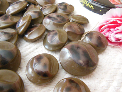 Lot gros boutons anciens en celluoid marron dans boite 2,6 cm à 3,3 cm 