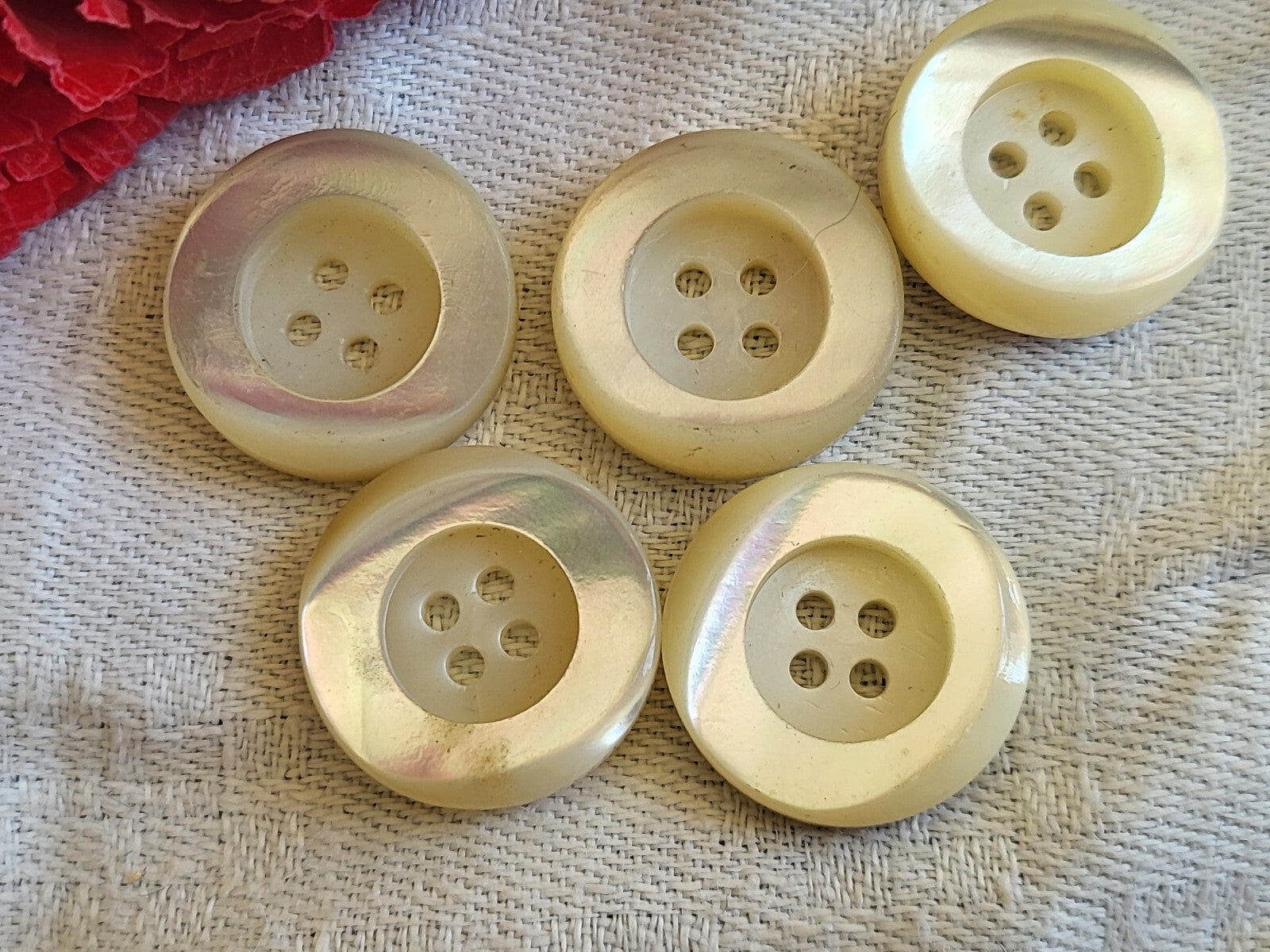  lot 5 boutons anciens en nacre Haut rebord   diamètre 1,7 cm ref 5633