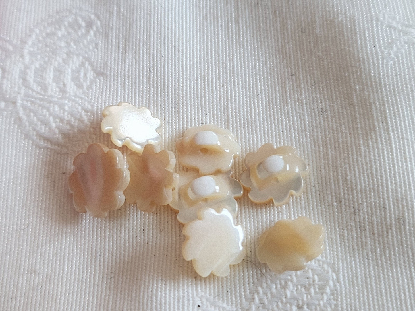 Collection lot 8 boutons vintage en nacre beige  1,1 cm et 1,2 spirale ref 6407