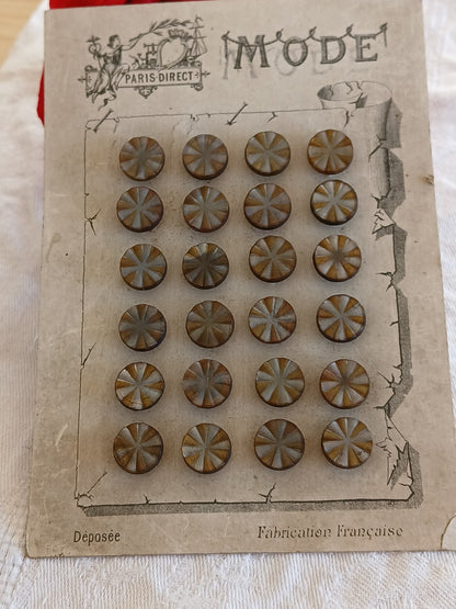 Collection lot 24 boutons anciens pieds  1,1 cm ou 11 mm vers 1900