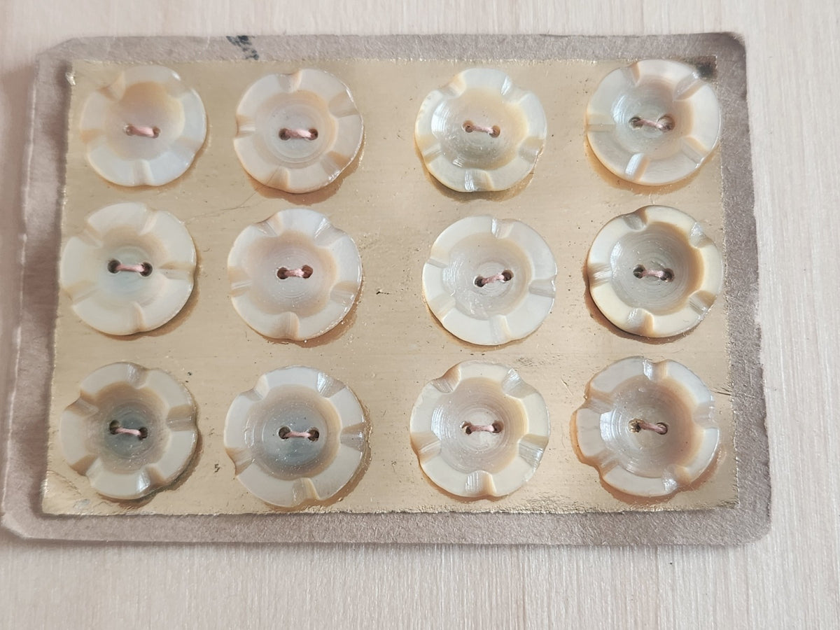 Rare petite plaque boutons anciens en nacre  1,2 cm  lot de 12 n°73