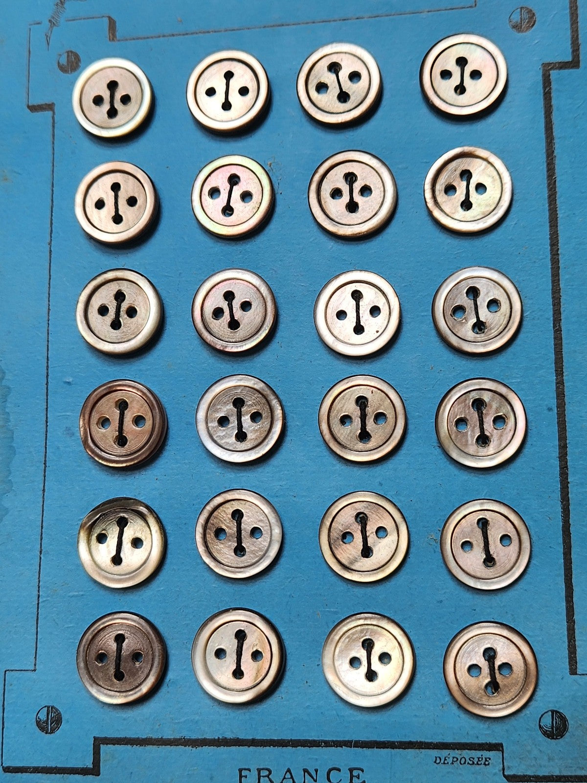 Plaque 24 boutons anciens en nacre gris 1,2 cm année 20/30 N°6
