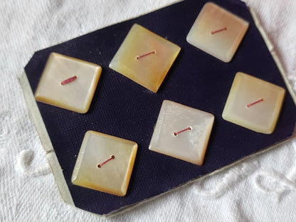 Rare petite plaque boutons anciens en nacre  1,5 cm  lot de 6 n°54