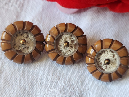 Trio boutons anciens dentelle emprisonnée marron 1,8 cm G16D