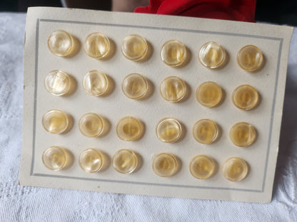 petite plaque de 24 boutons vintage créme beige pied 1, 1 cm