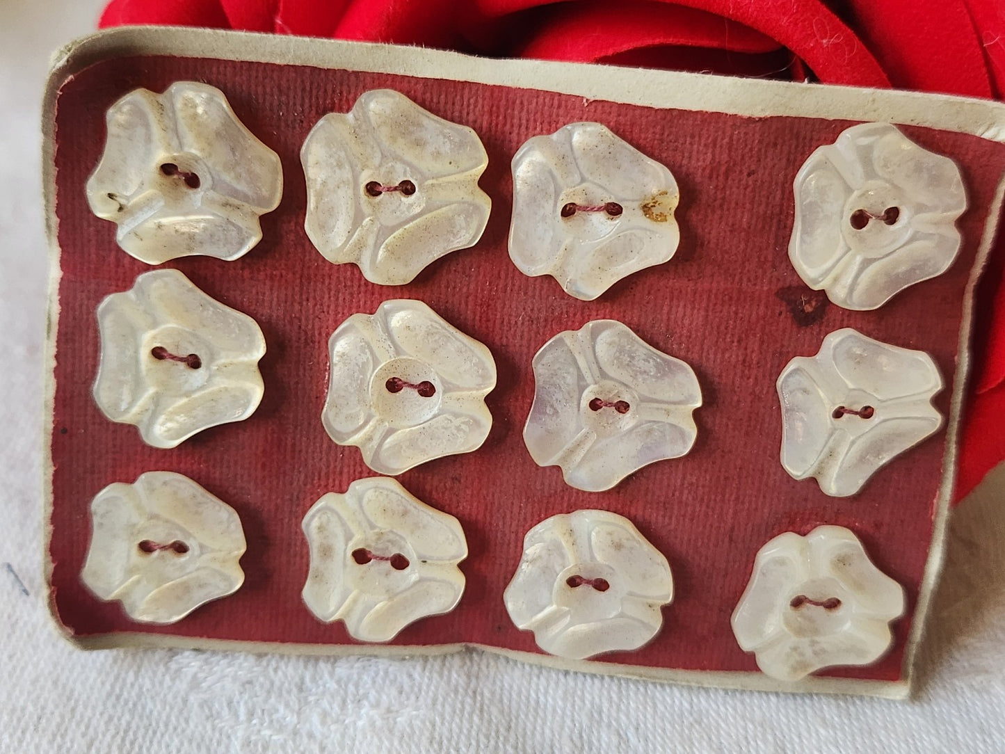 Rare petite plaque boutons anciens en nacre  1,3 cm  lot de 12 n°27