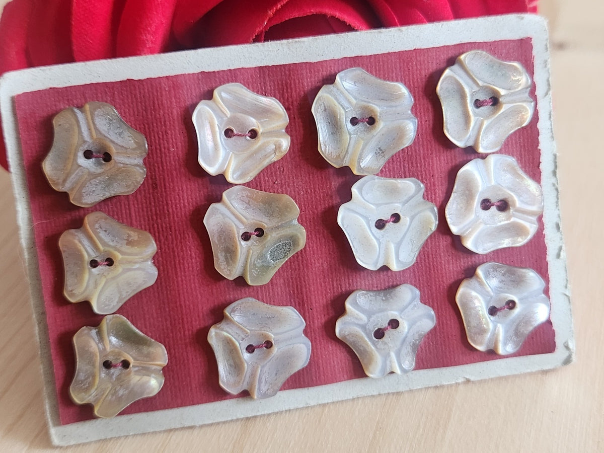 Rare petite plaque boutons anciens en nacre  1,3 /1,4 cm  lot de 12 n°76