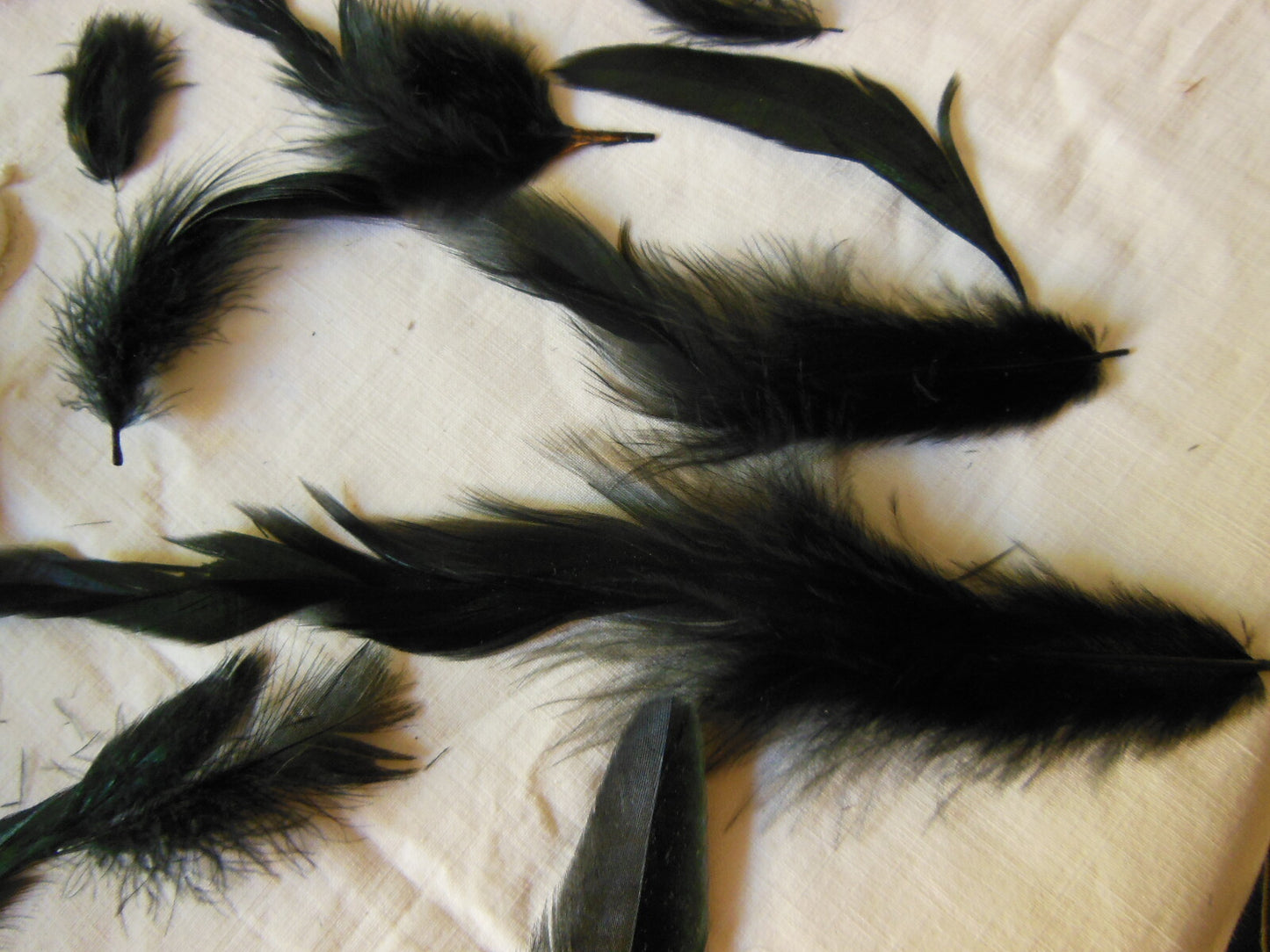 Gros lot de plumes anciennes chapeau modiste noir irisé vert   N°3 B1