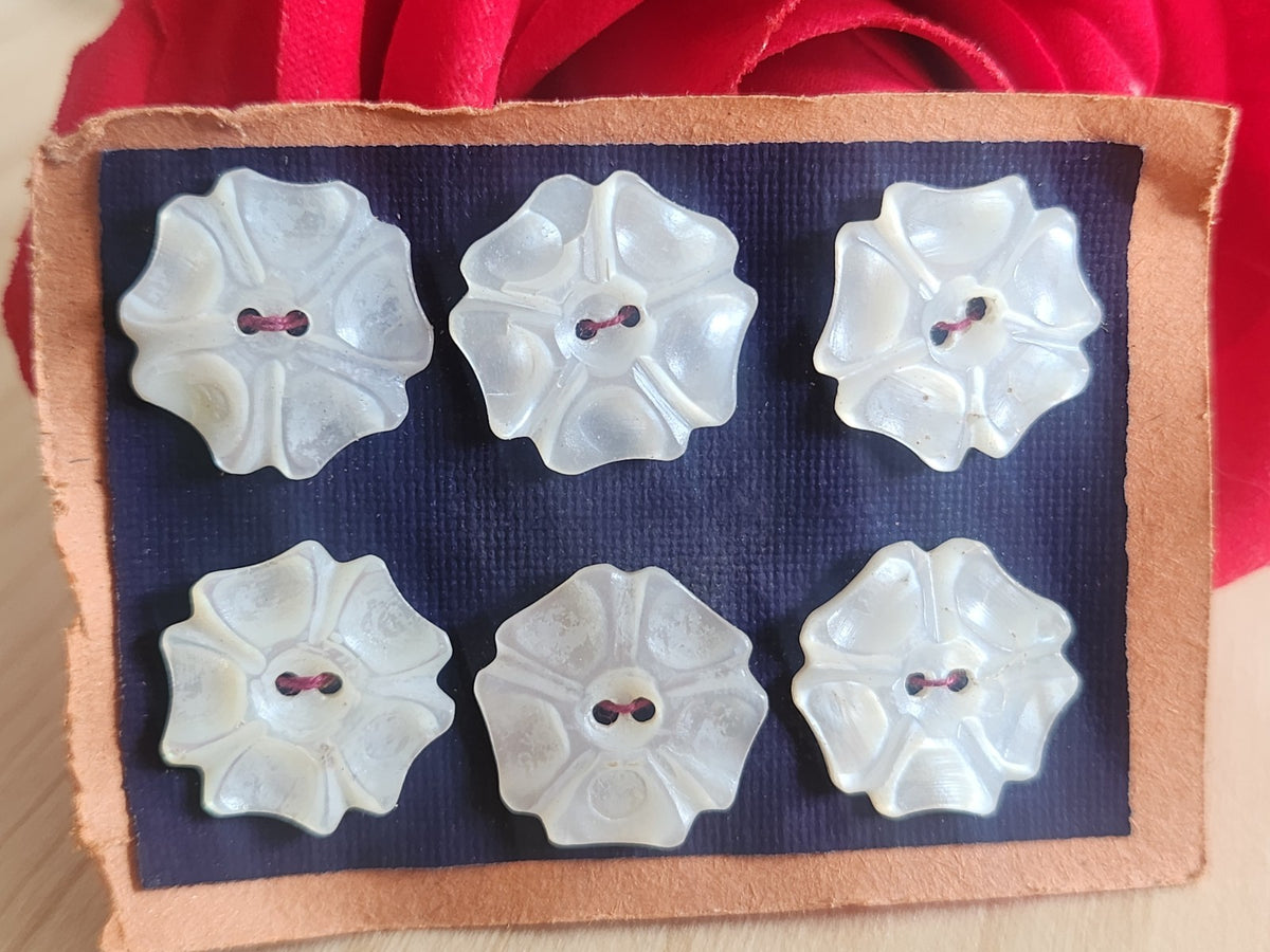 Rare petite plaque boutons anciens en nacre 1,6/  1,7 cm  lot de 6 n°71