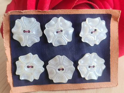 Rare petite plaque boutons anciens en nacre 1,6/  1,7 cm  lot de 6 n°71