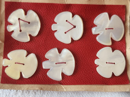 Rare petite plaque boutons anciens en nacre  1,7 cm  lot de 6 n°47