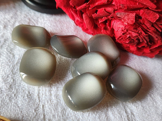 Lot 7 boutons vintage camaieu gris ovale 1,8 cm sur 1,4 cm pied ref 1557