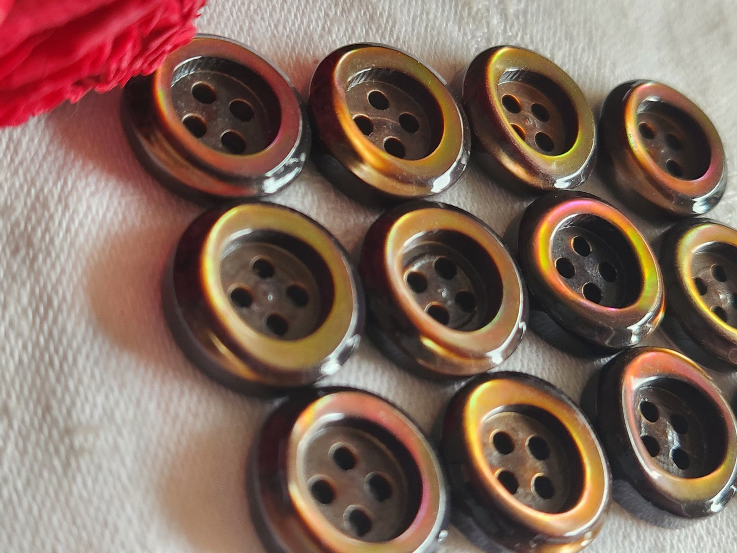 Lot 12 boutons anciens en nacre marron  épais bord 1,7 cm lourd ref  6023