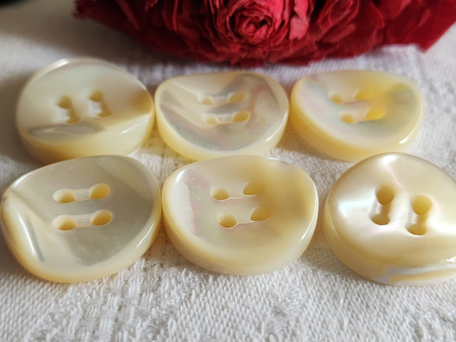 Lot  6 boutons anciens en nacre blanc épais bord 2,2 cm lourd ref  5967