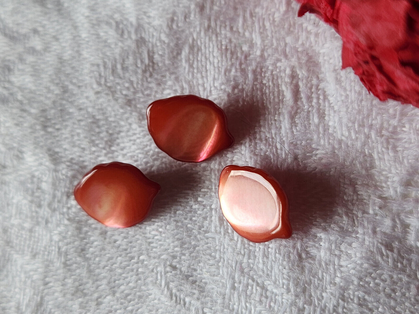 trio boutons anciens en nacre feuille rouge  pied 0,9 sur 1,2 cm D12D