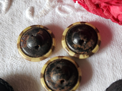 Trio  boutons anciens en celluloid  art deco beige marron  1,8 cm G13M