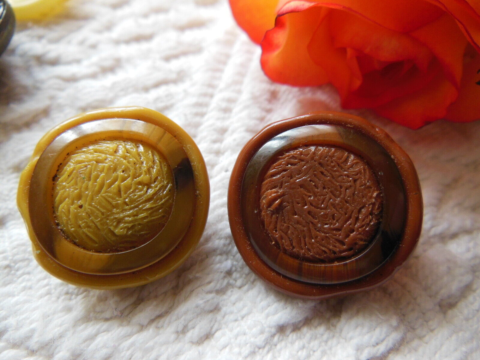 Duo boutons vintage en résine pour collection marron 2 cm D9N