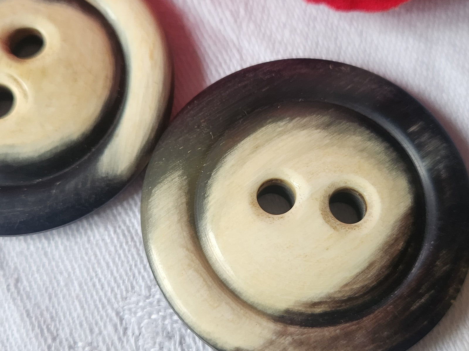 Duo gros boutons anciens en corne creme XXL 3,9 cm ref 1902