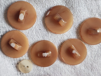 Lot 6 boutons vintage en nacre camel  valentino?  pied 2 cm ref 5651