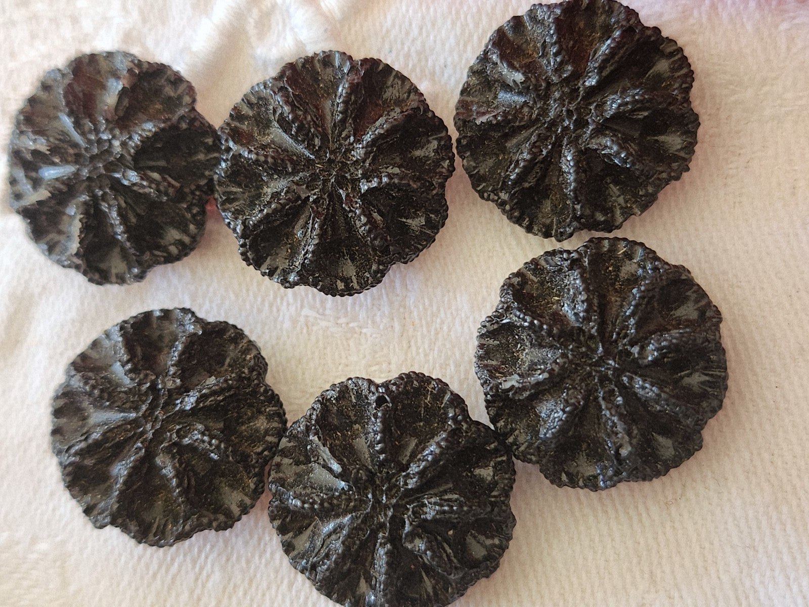 Lot 6 boutons vintage en résine noir à pied 1,7 cm  ref 3896