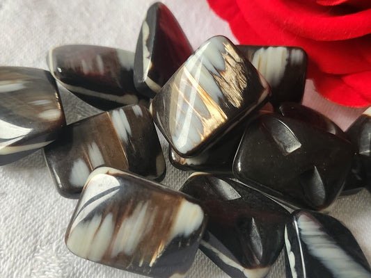 Lot 6 superbes boutons vintage marron reflet nacré 1,6 sur 2,2 cm pied ref 1210