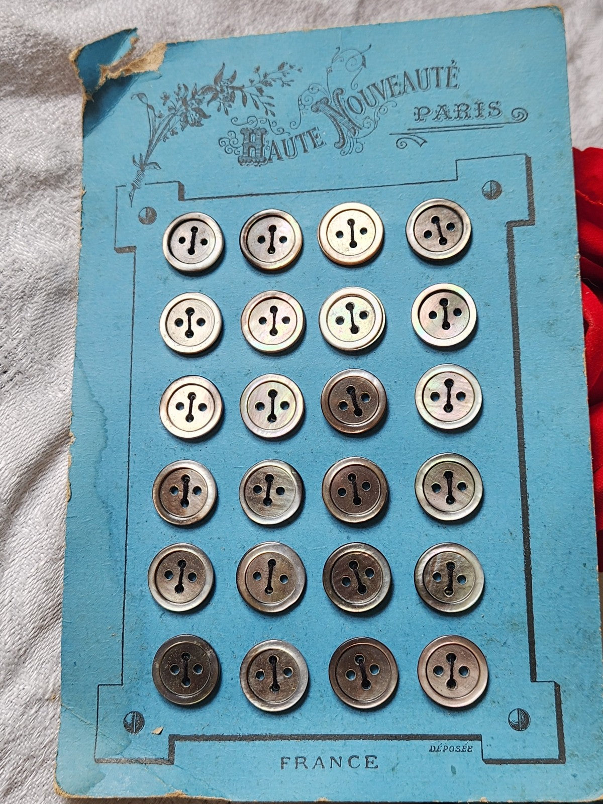 Plaque 24 boutons anciens en nacre gris 1,2 cm année 20/30 N°7