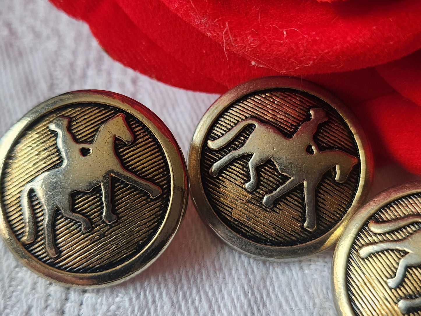 Trio boutons vintage en métal doré cheval à pied  2 cm G17P