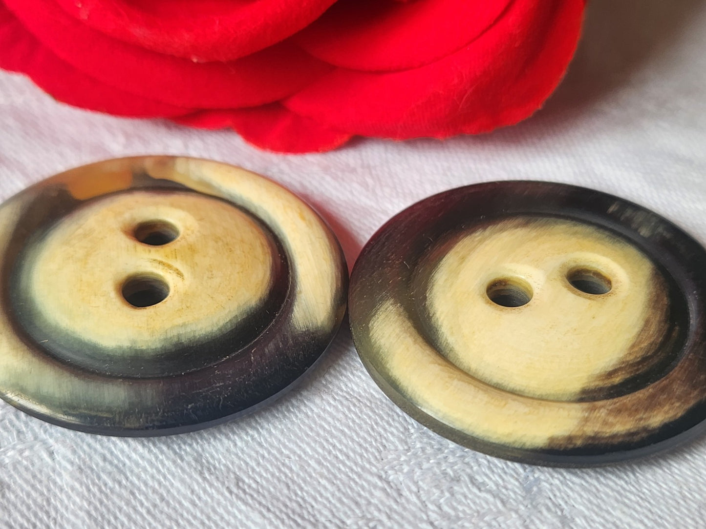Duo gros boutons anciens en corne creme XXL 3,9 cm ref 1902