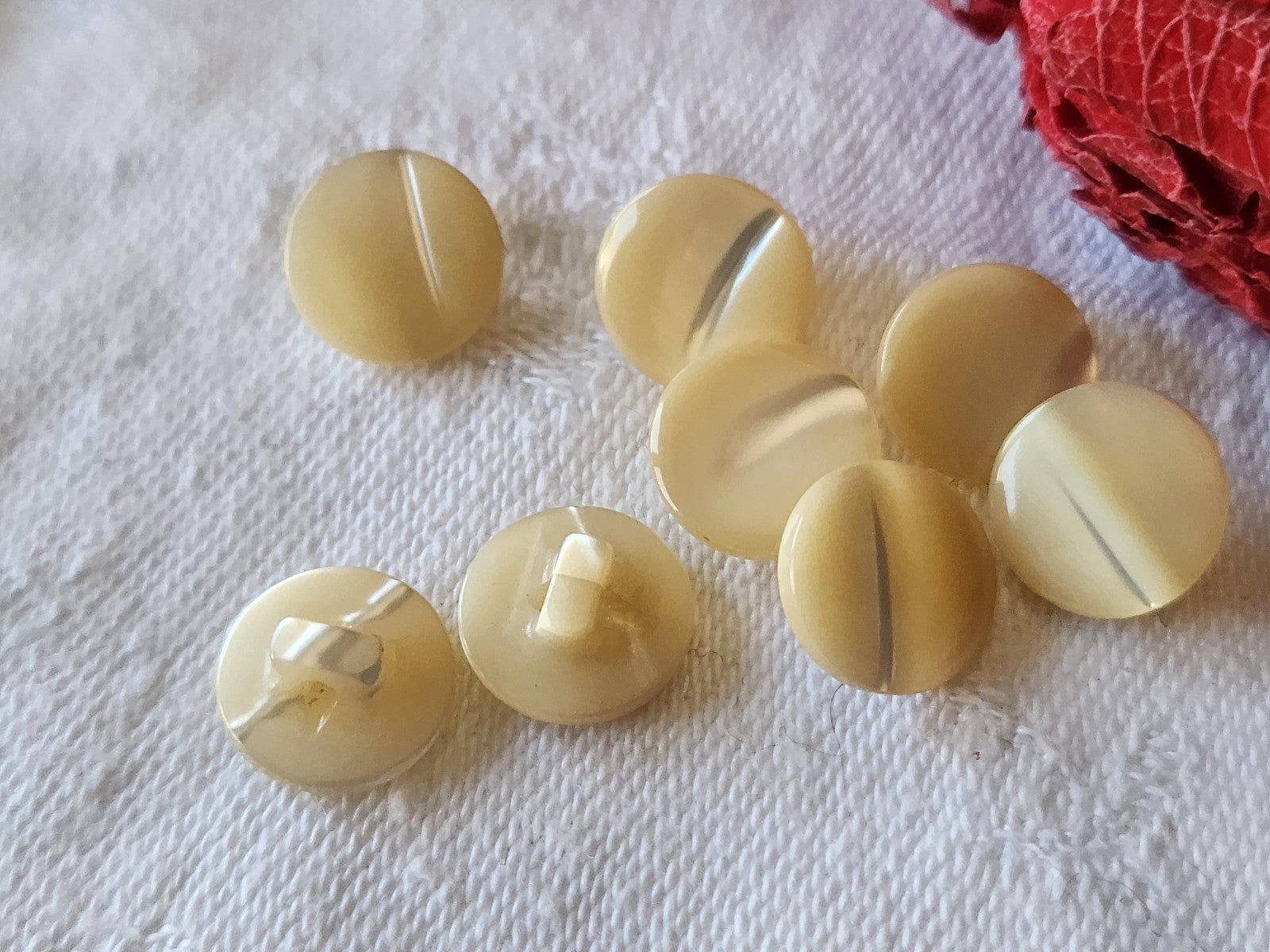 lot 8 boutons anciens en nacre beige lisse pied  1,1 cm ref 5039