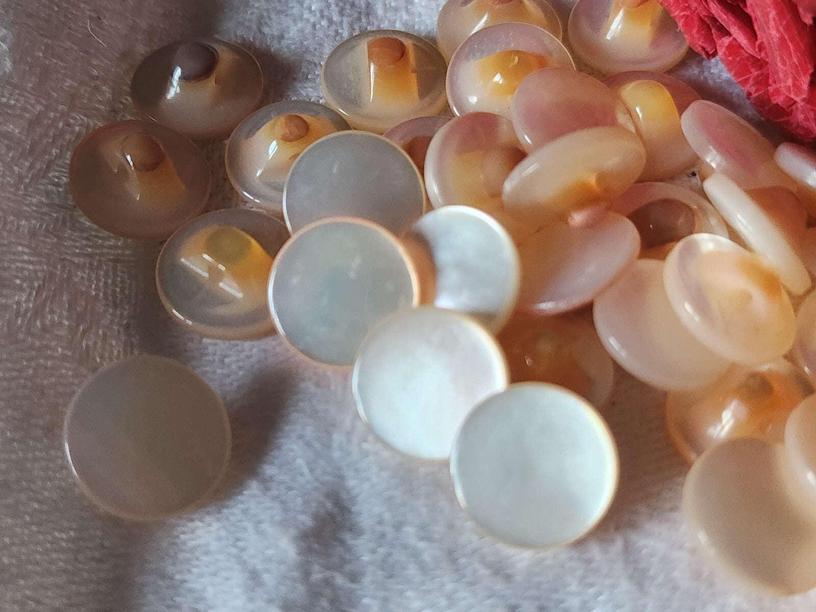 lot 6 boutons anciens en nacre peche lisse pied  1,1 cm ref 1491