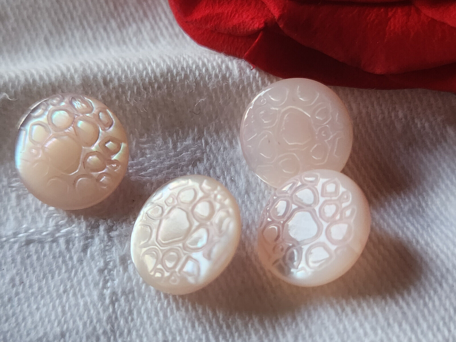 Lot 4 petits boutons anciens en nacre rose alveole pied 1,2 cm G17B