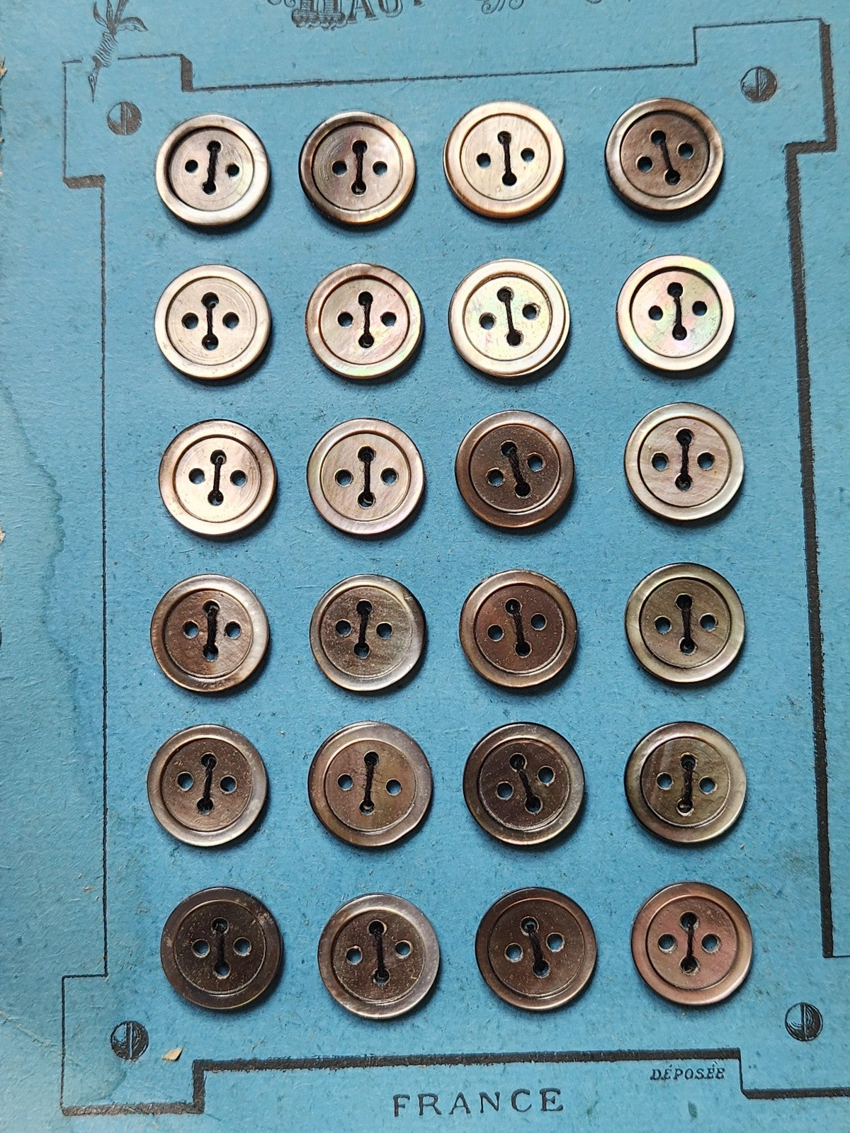 Plaque 24 boutons anciens en nacre gris 1,2 cm année 20/30 N°7