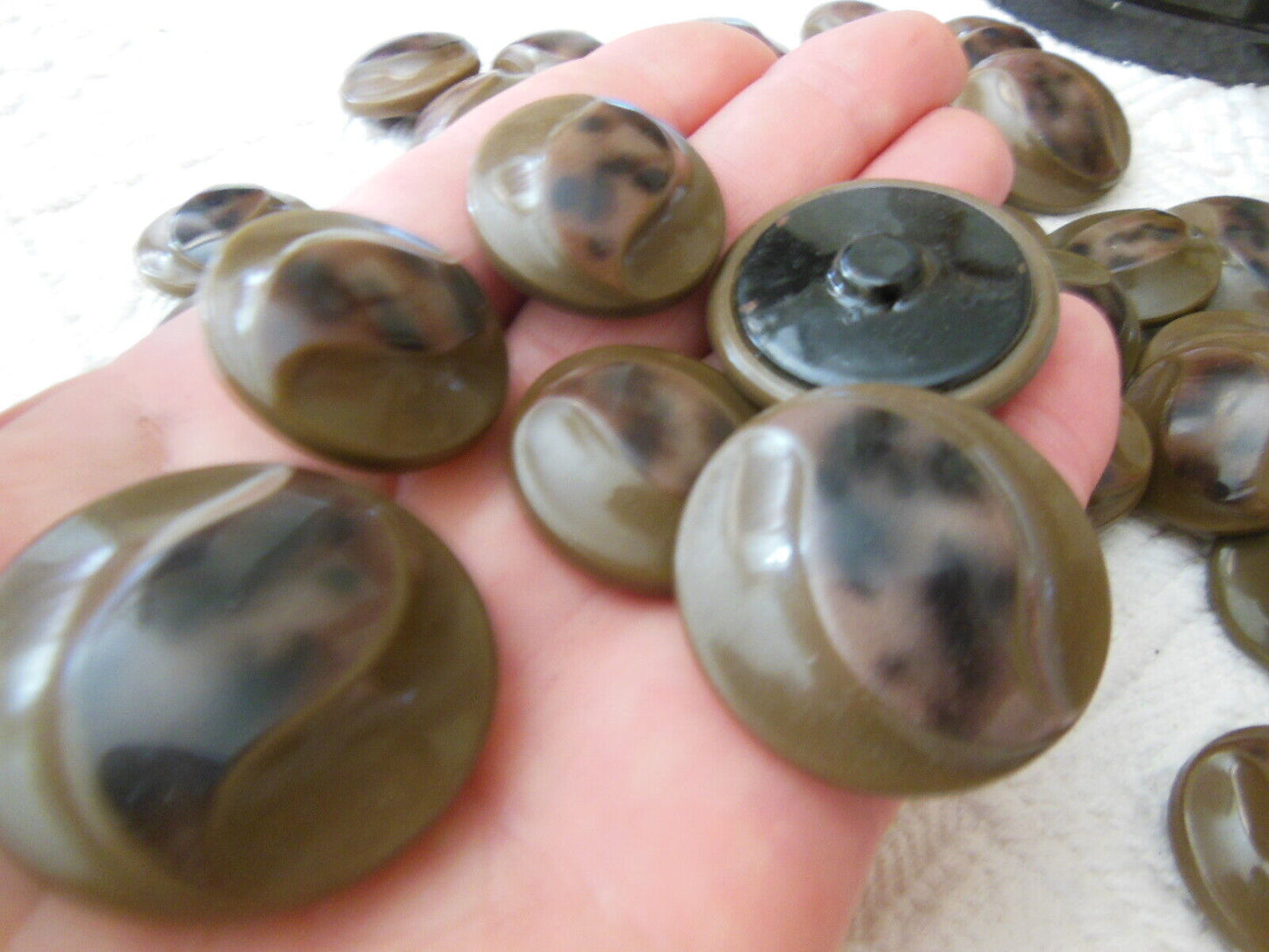 Lot gros boutons anciens en celluoid marron dans boite 2,6 cm à 3,3 cm 