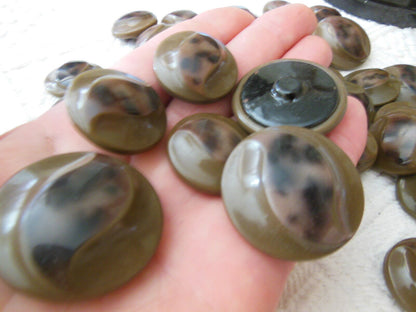Lot gros boutons anciens en celluoid marron dans boite 2,6 cm à 3,3 cm 