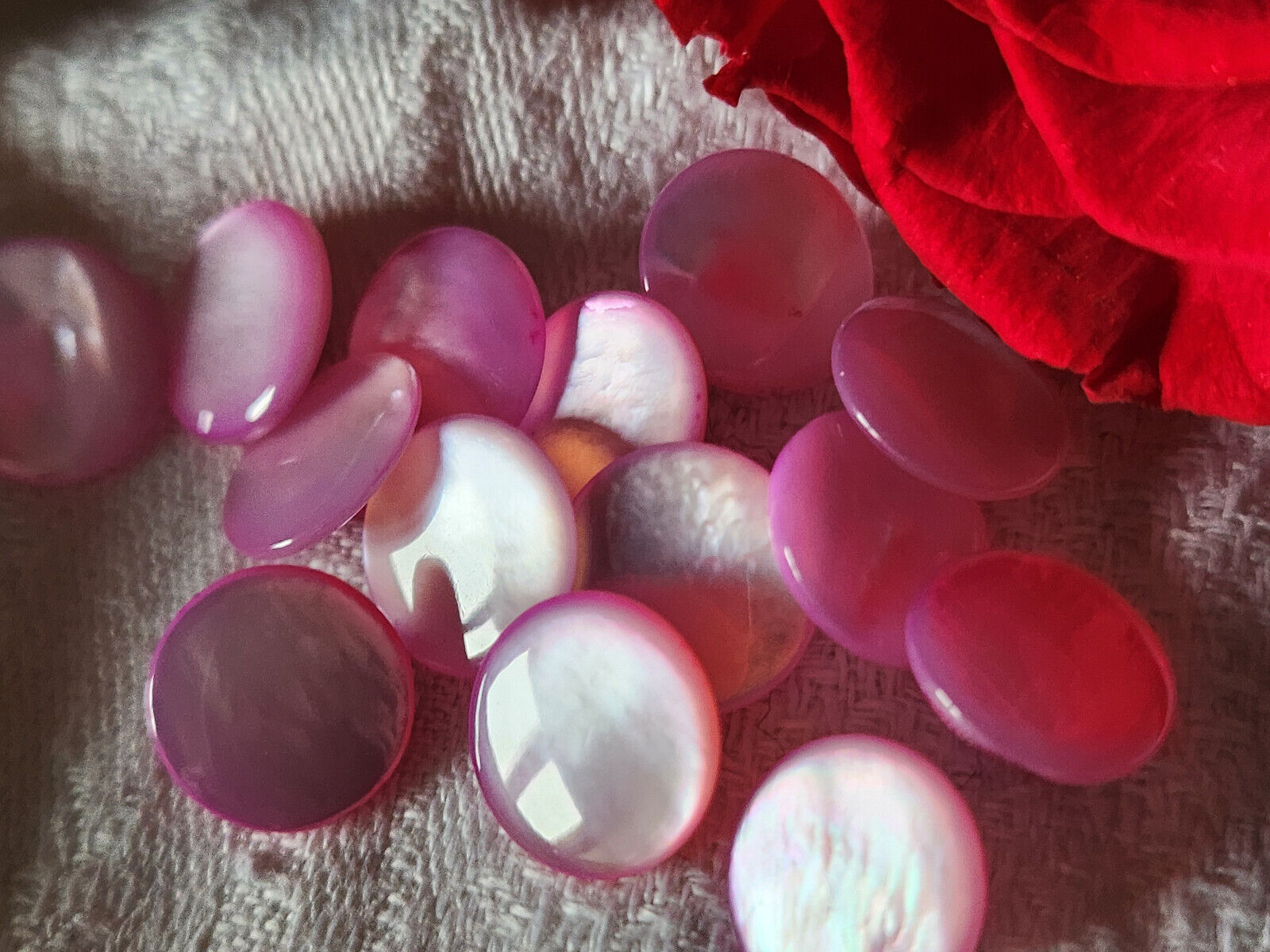 lot 6 boutons anciens en nacre rose lisse pied  1,2 cm ref 471