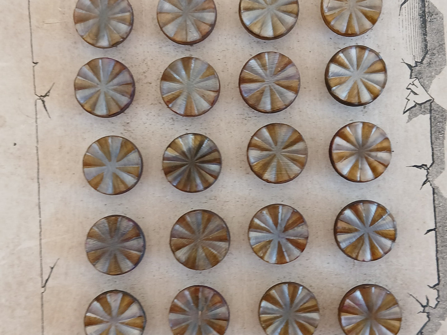 Collection lot 24 boutons anciens pieds  1,1 cm ou 11 mm vers 1900
