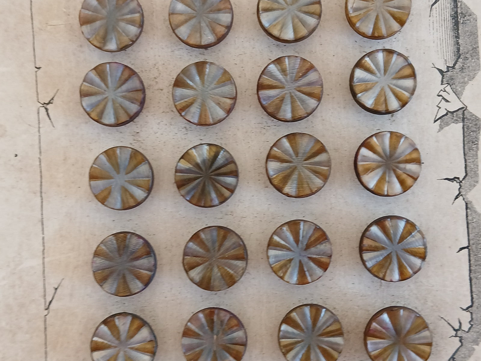 Collection lot 24 boutons anciens pieds  1,1 cm ou 11 mm vers 1900