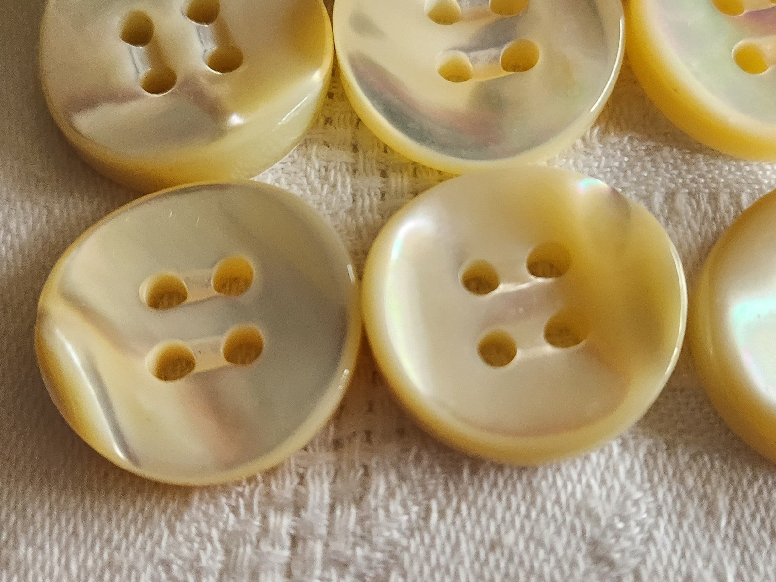 Lot  6 boutons anciens en nacre blanc épais bord 2,2 cm lourd ref  5967