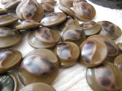 Lot gros boutons anciens en celluoid marron dans boite 2,6 cm à 3,3 cm 