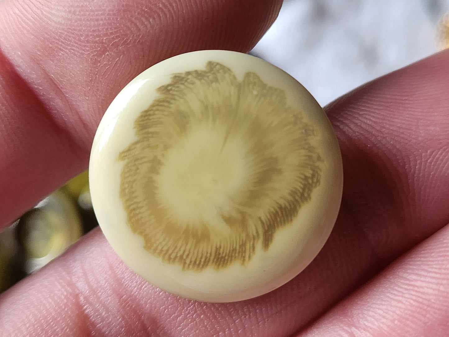 Lot 6  boutons beige  transparent ombré à pied diamètre: 2,3 cm  ref 451