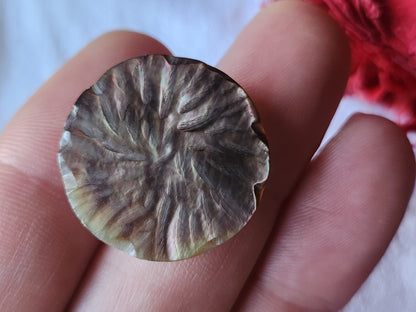 Bouton vintage en nacre collection pied plastique  2,5 cm D17B