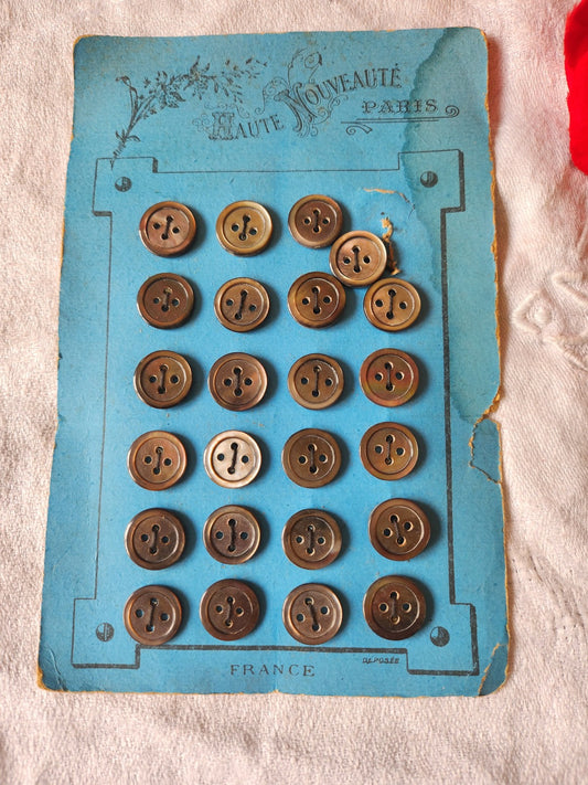 Plaque 24 boutons anciens en nacre gris 1,2 cm année 20/30 N°1