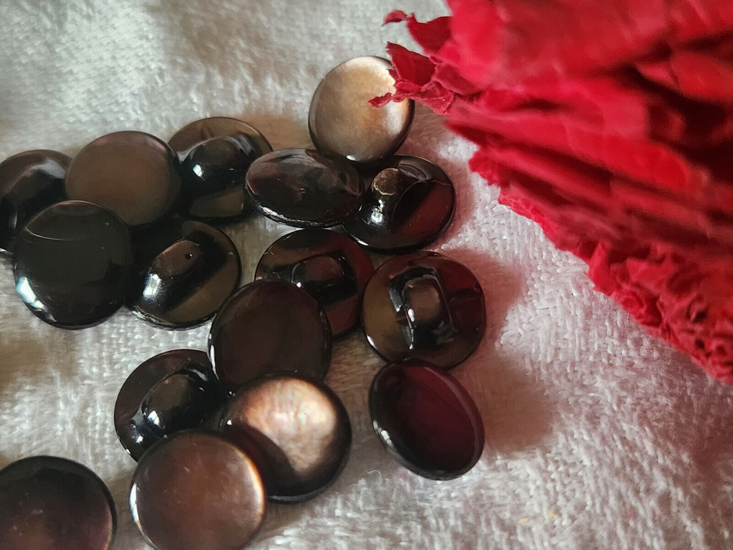 lot 6 boutons anciens en nacre marron lisse pied  1 cm ref 4921