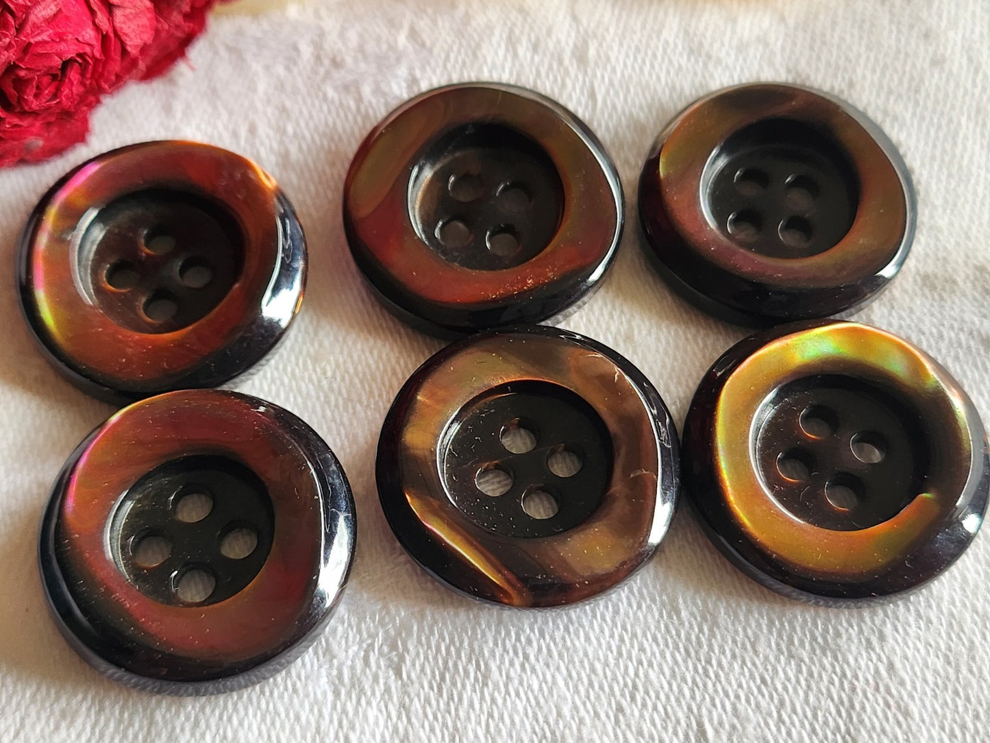 Lot 6 boutons anciens en nacre marron  épais bord 2,2 cm lourd ref  6005