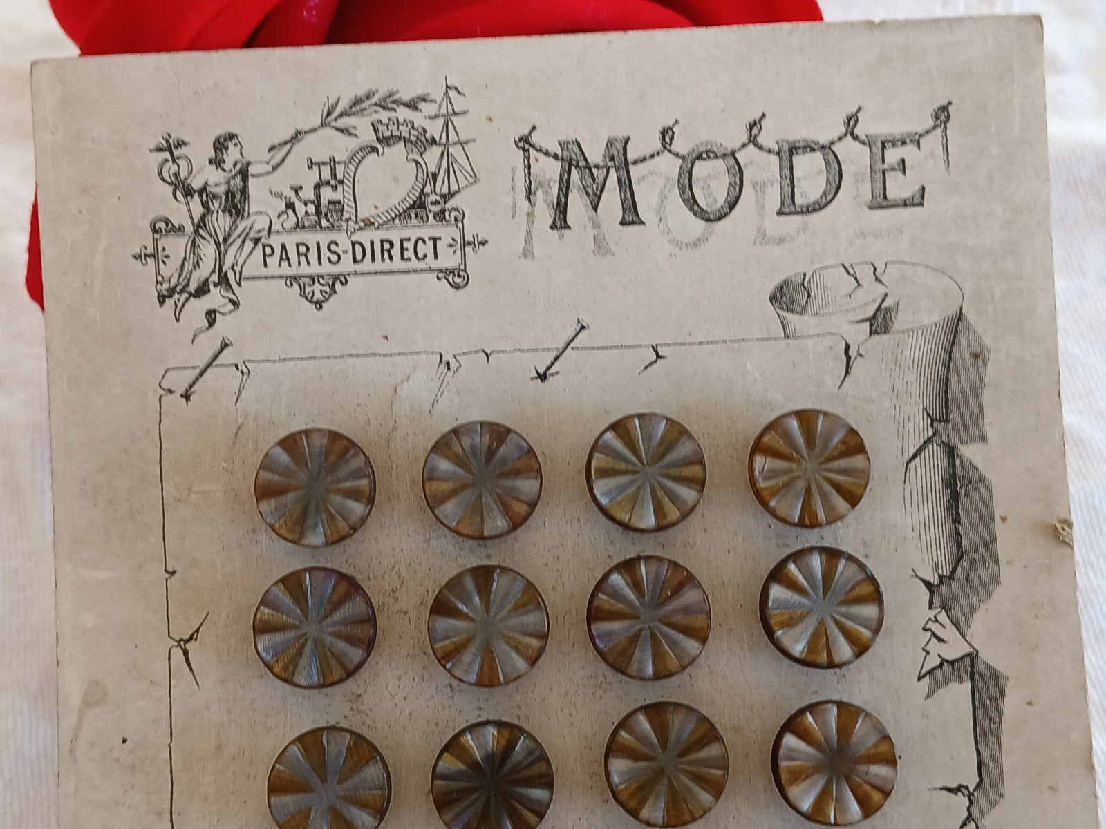 Collection lot 24 boutons anciens pieds  1,1 cm ou 11 mm vers 1900