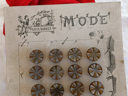 Collection lot 24 boutons anciens pieds  1,1 cm ou 11 mm vers 1900